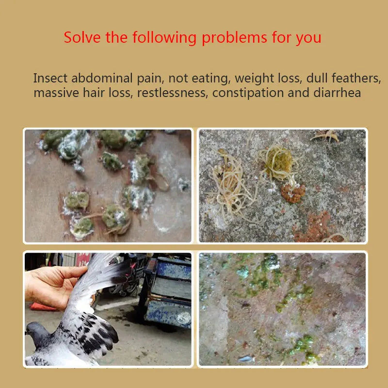 Pigeon Body Deworming 100 Tablets