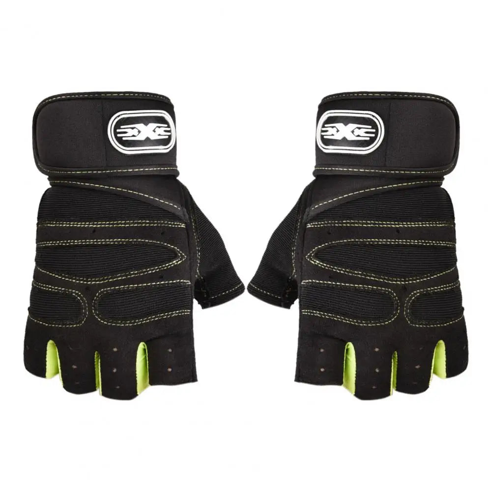 45413121655022|45413121687790|45413121720558