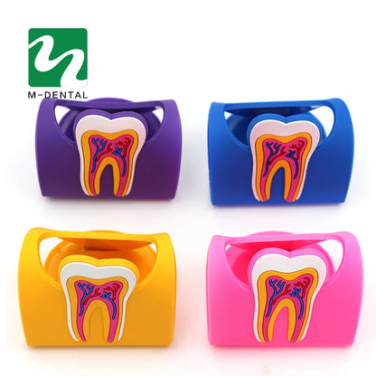 Dentist Gift Cute Card Holder For Dental Clinic