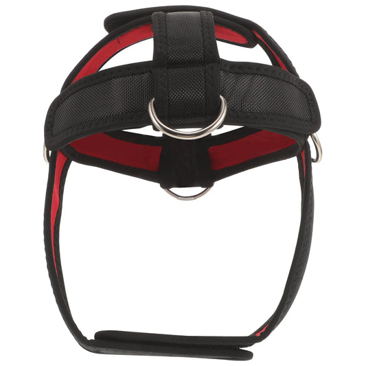 Head Training Strap Neck Exerciser Trainer